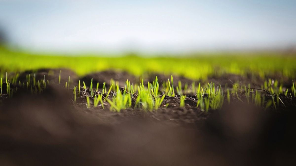 Több mint nyolcvanezer termőföld-adásvételről döntött az agrárkamara