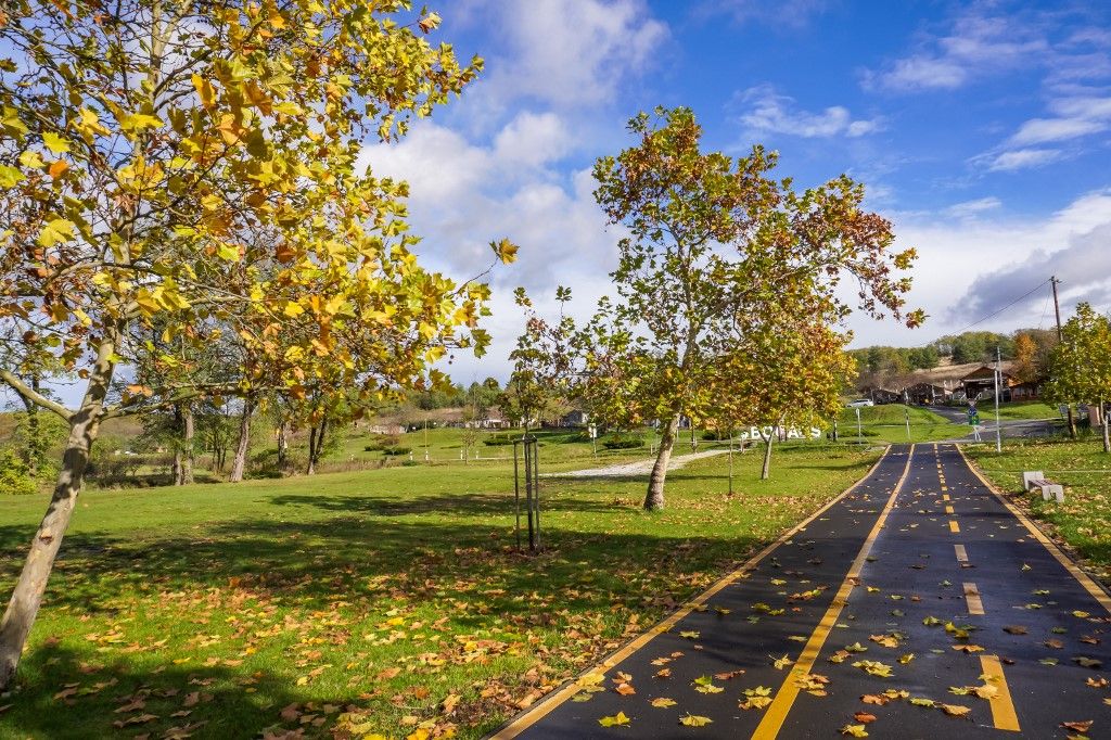 Autumn In Bogacs, Hungary
ősz, eső