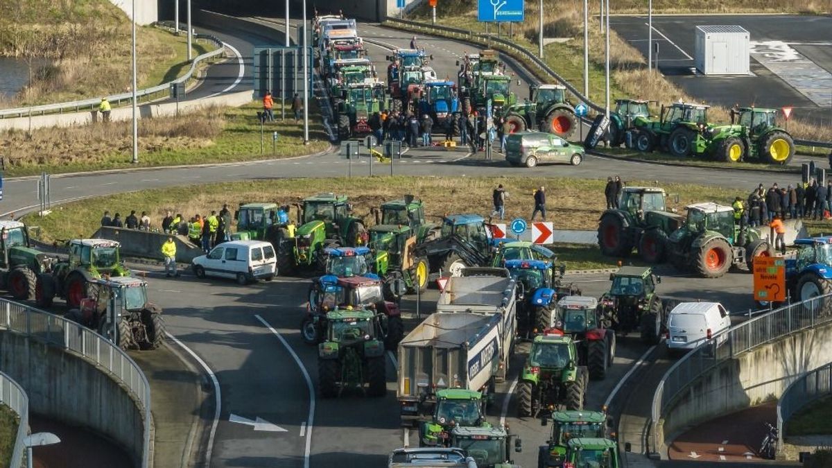 Alapvetően alakítanák át az uniós agrártámogatási rendszert, Brüsszel háborút indít az állattartás ellen