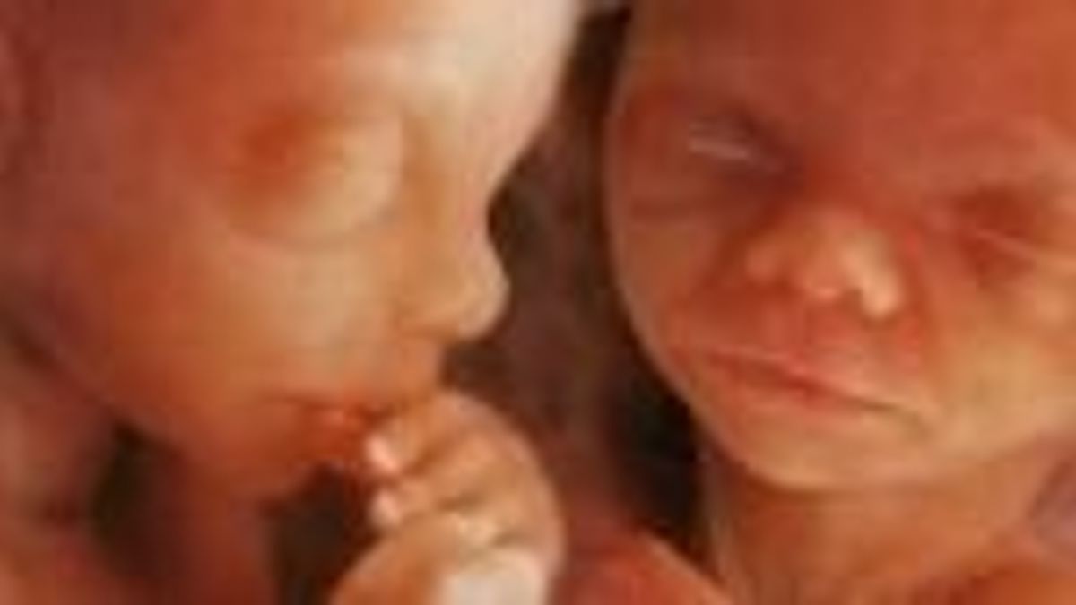 Terhesgondozás: új alapot teremtene a Geneplanet, genetikai labort nyitnak Magyarországon