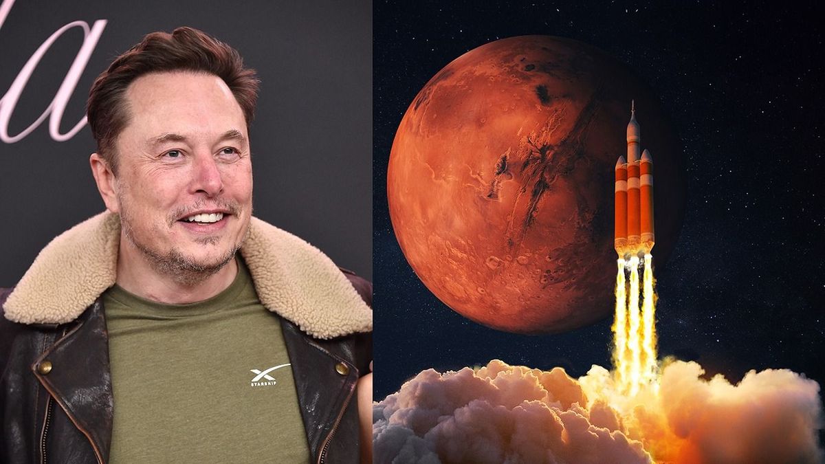 Elon Musk: Kamala Harris győzelme az emberiség végzetét jelenti