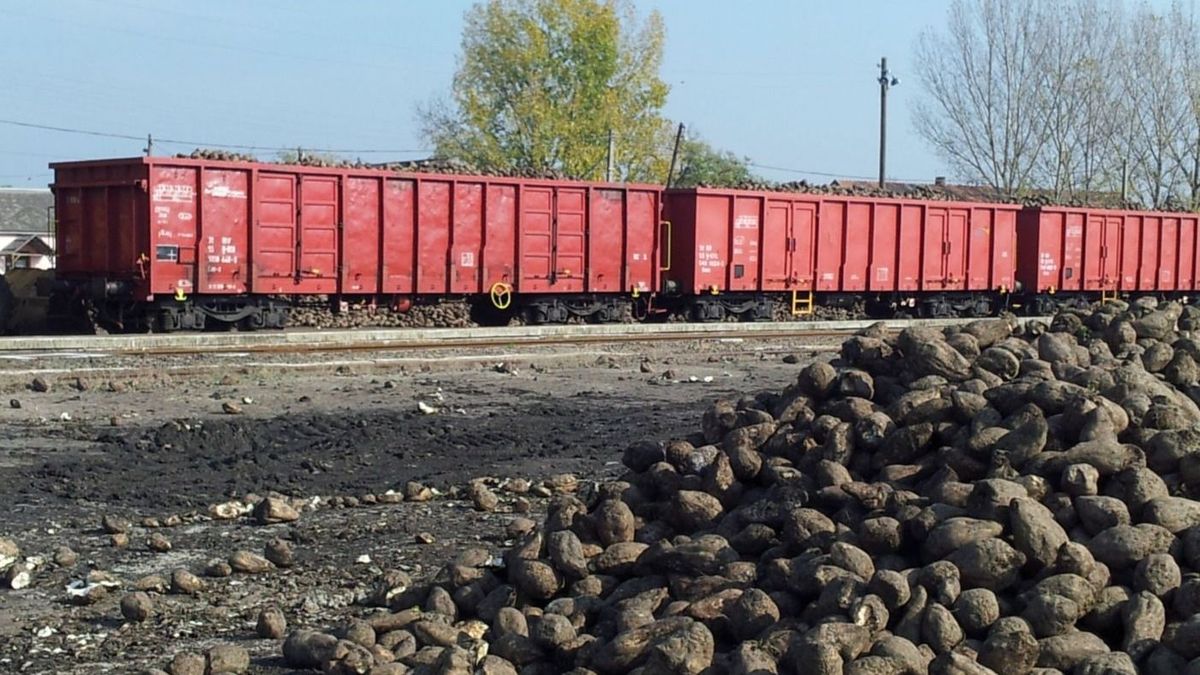 Speciális járatokat üzemeltet a Rail Cargo Hungaria négy hónapig