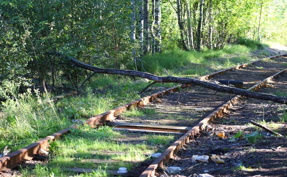 An,Old,Abandoned,Railway,Track,In,The,Forest,With,A