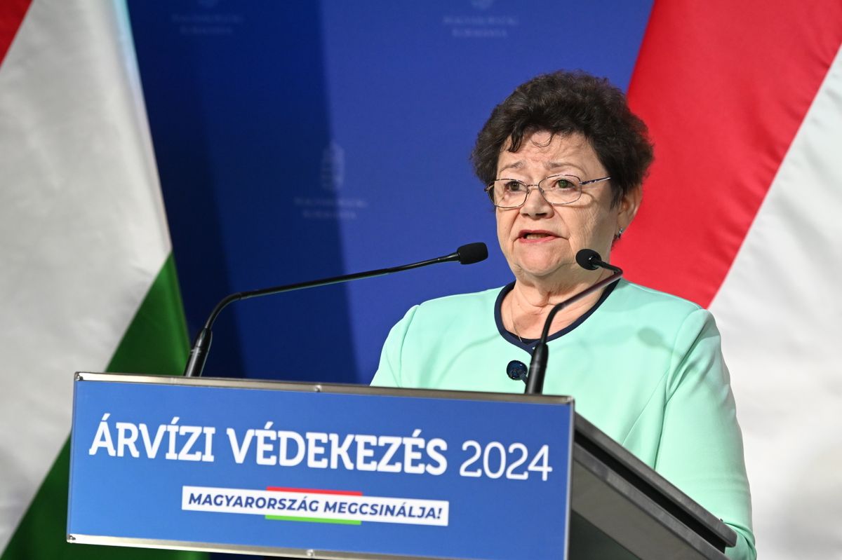 MÜLLER Cecília
árvíz