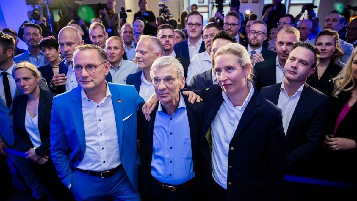 Kerékkötő vagy a nemzeti érdekek védője? Mire lehet elég az AfD ereje?