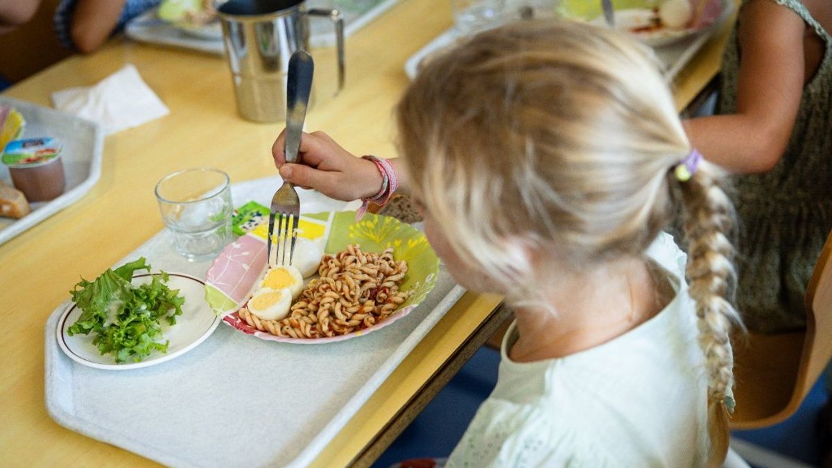 A kormány megnégyszerezte a gyermekétkeztetésre fordított összeget