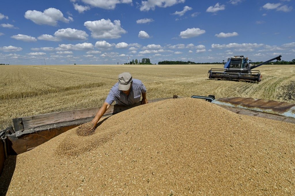 Harvesting winter wheat in northern Zaporizhzhia region