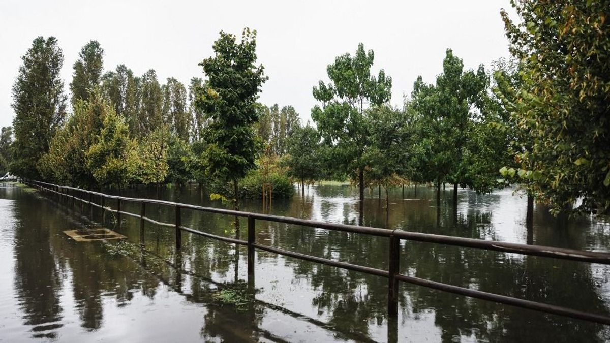Tragédia: egy tűzoltó is áldozatul esett az árvíznek Olaszországban