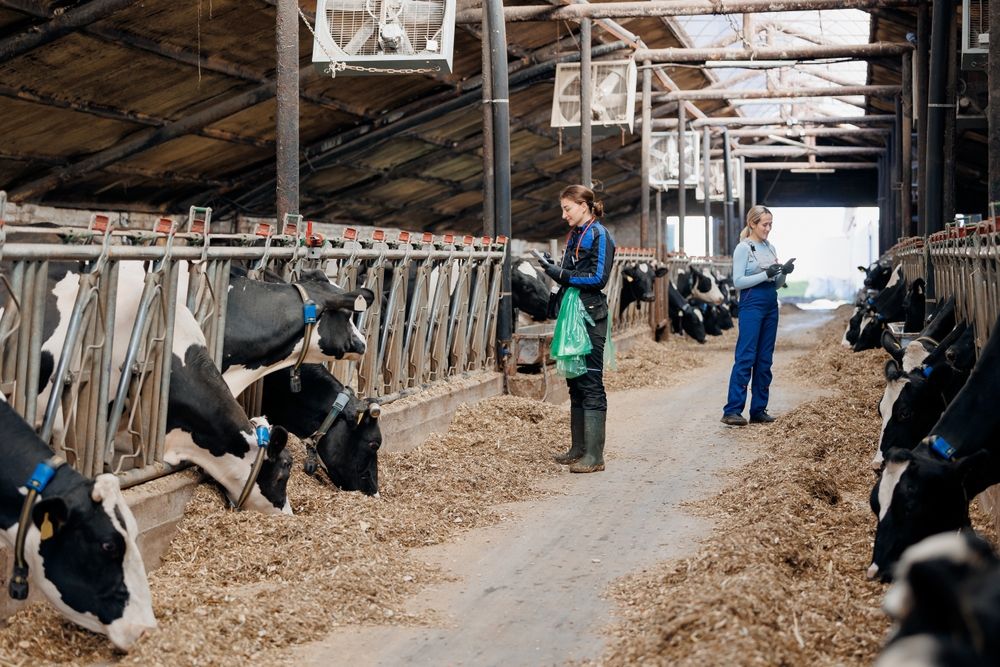 Concept,Food,Industry,And,Smart,Farming,Technology.,Happy,Team,Dairy, agrárátalakulás