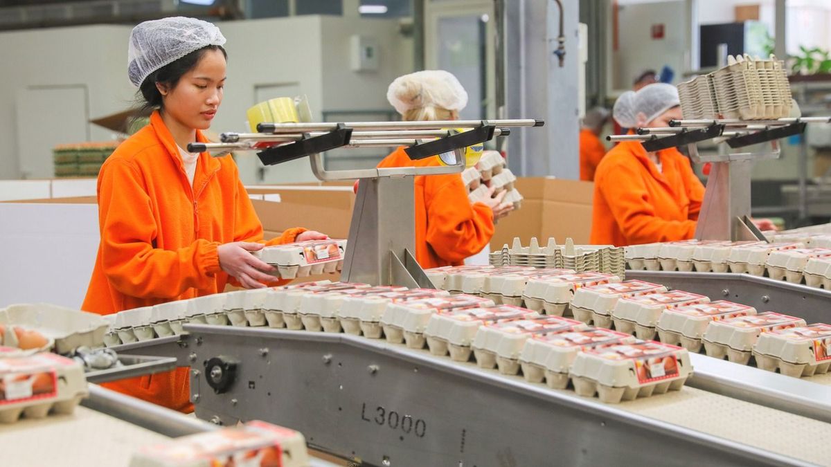 Magyar cégvezető a vietnámi vendégmunkásokról: egyszerűen nem volt más lehetőségünk