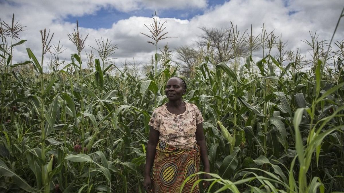 Afrikában is divatba jöttek a szuverén vagyonalapok