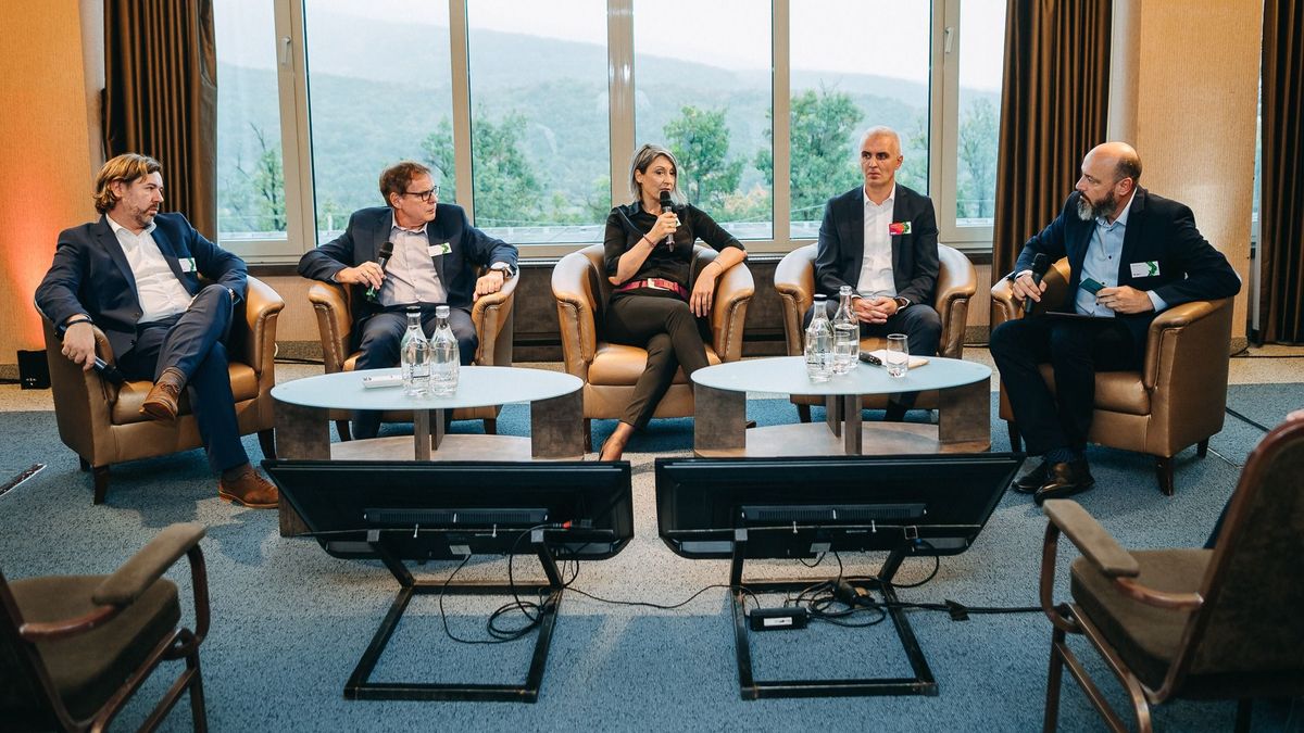 Hosszútávon csak a zöld transzformáció versenyképes (x)