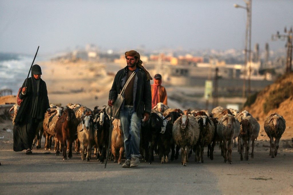 Daily Life In Gaza Amid Hamas-Israel Conflict
birka