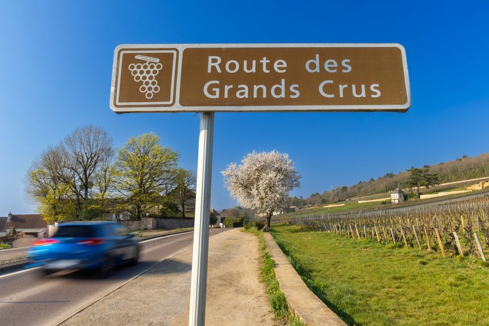 Wine,Road,(route,Des,Grands,Crus),Near,Beaune,,Burgundy,,France