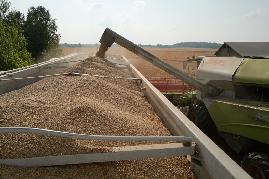 CHERNIHIV, UKRAINE - AUGUST 30: An agricultural worker unload cereals from a combine as workers harvest a large field of barley near the border with Russia in the Chernihiv region on August 30, 2023 in Chernihiv, Ukraine. (Photo by Pierre Crom/Getty Images)
orosz mezőgazdaság, gazdaság, GDP