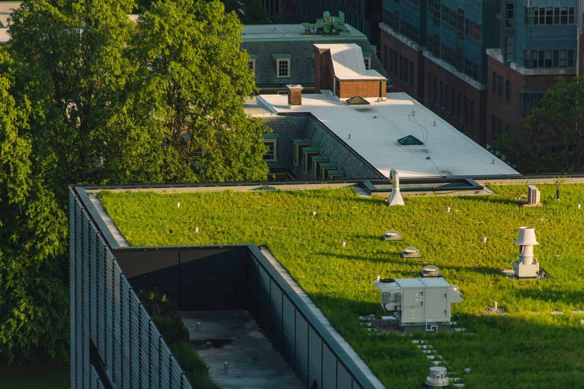 Green roof in Toronto
Views of green roof on top of building in Toronto, Ontario, Canada