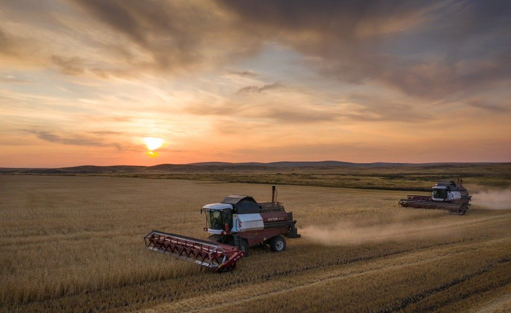 Harvesting wheat with combine harvesters in the Orenburg region, Russia
ORENBURG, RUSSIA - AUGUST 31: An aerial photo shows combine harvesters cutting through a field of wheat during harvesting season in the Orenburg region, Russia on August 31, 2022. Farmers of the Ural region received a large amount of wheat harvest due to the dry climate in the southern regions as it allows harvest even at nights without dew. Aleksander Murzyak / Anadolu Agency (Photo by Aleksander Murzyak / ANADOLU AGENCY / Anadolu via AFP) vám