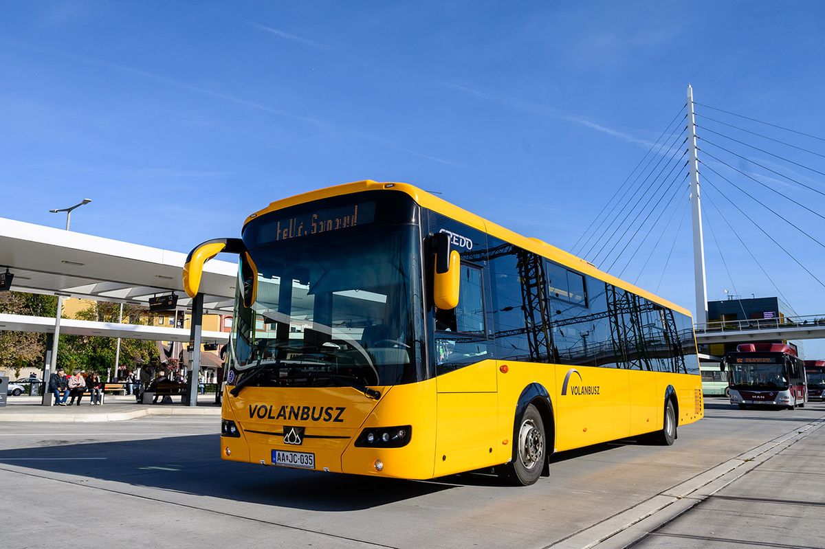 busz