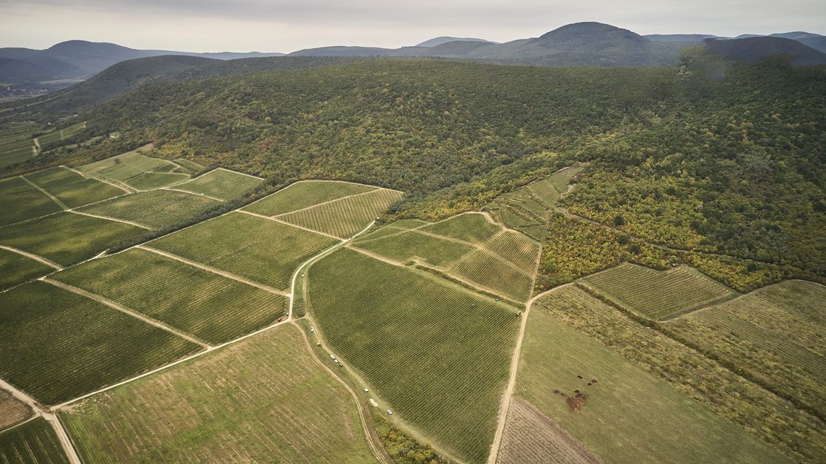 Tokaj, fenntarthatóság