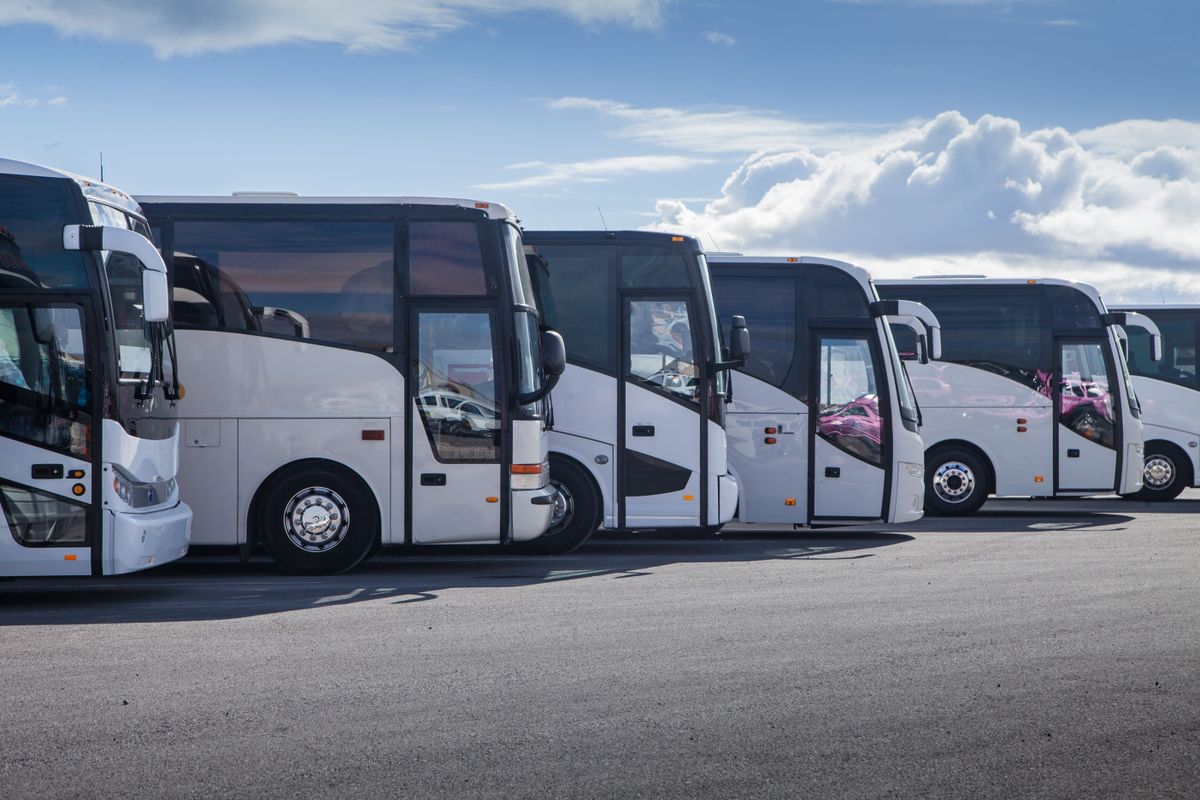 busz