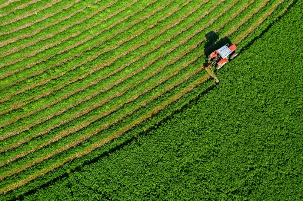 Alfalfa,Plant,Harvest,,People,Working,With,Tractors,And,Agricultural,Machinery, mezőgazdasági támogatások