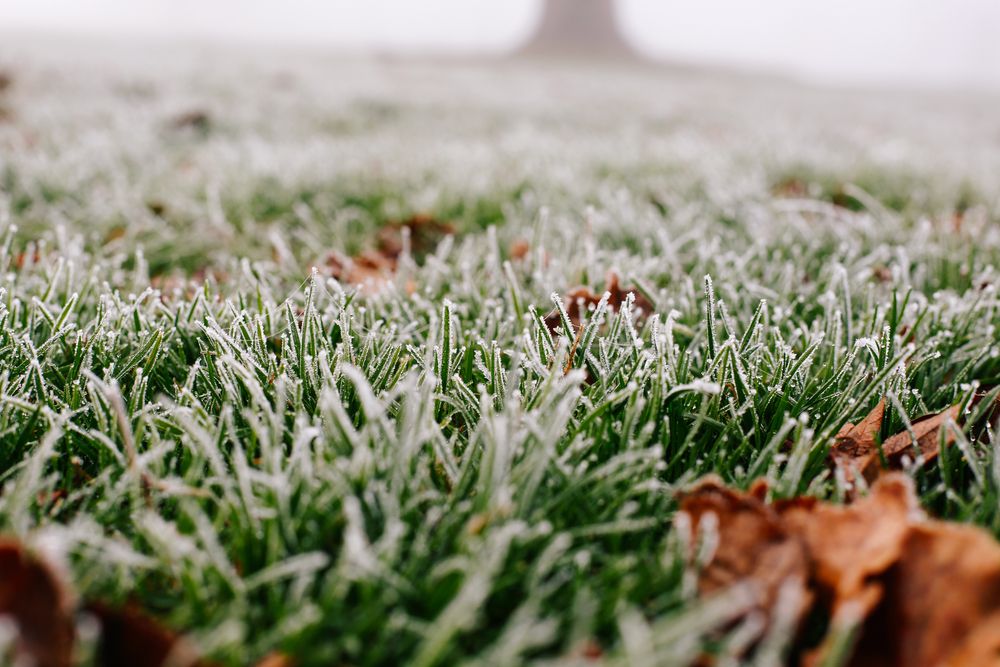 Close-up,Photograph,Of,Ice,And,Frost,On,Grass,And,Leaves, Ezért fájhatott a fejünk az éjszaka: brutális front vonult át Magyarországon