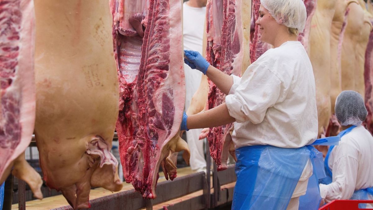 Alakul a disznó éve a vágóhidakon