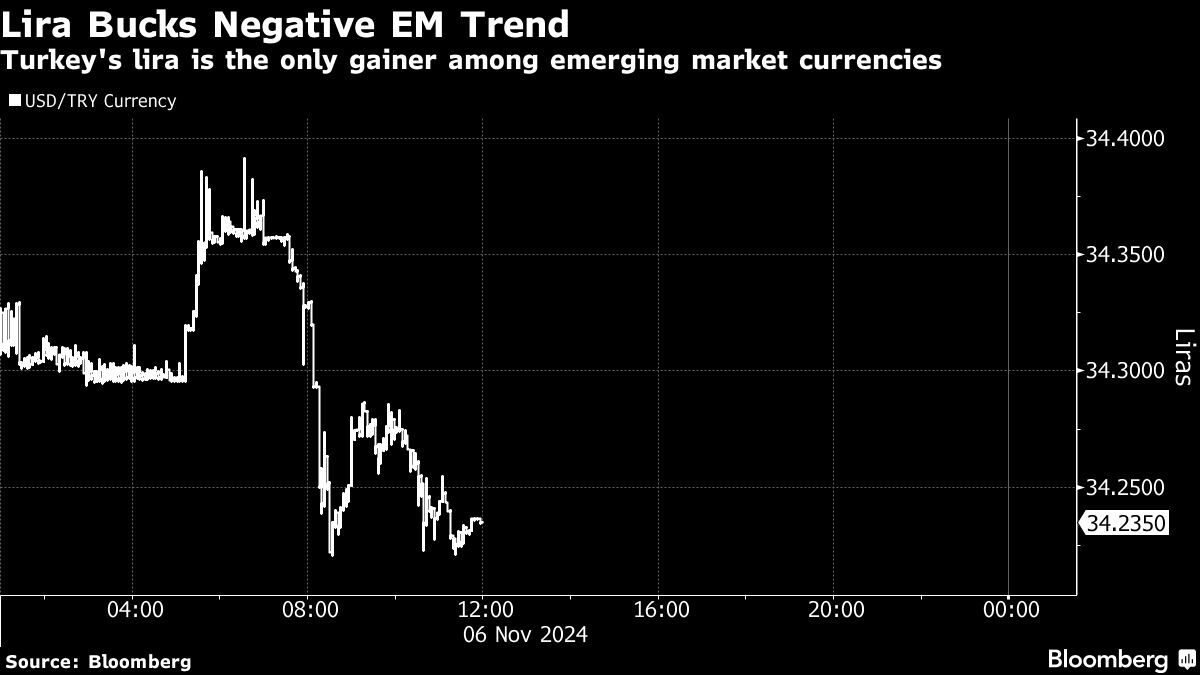 Lira Bucks Negative EM Trend | Turkey's lira is the only gainer among emerging market currencies