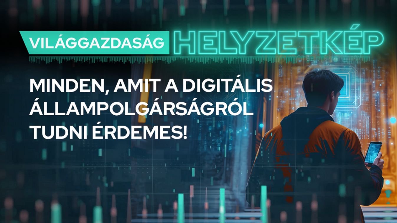 Helyzetkép
Digitális állampolgárság program
DÁP
Ügyfélkapu