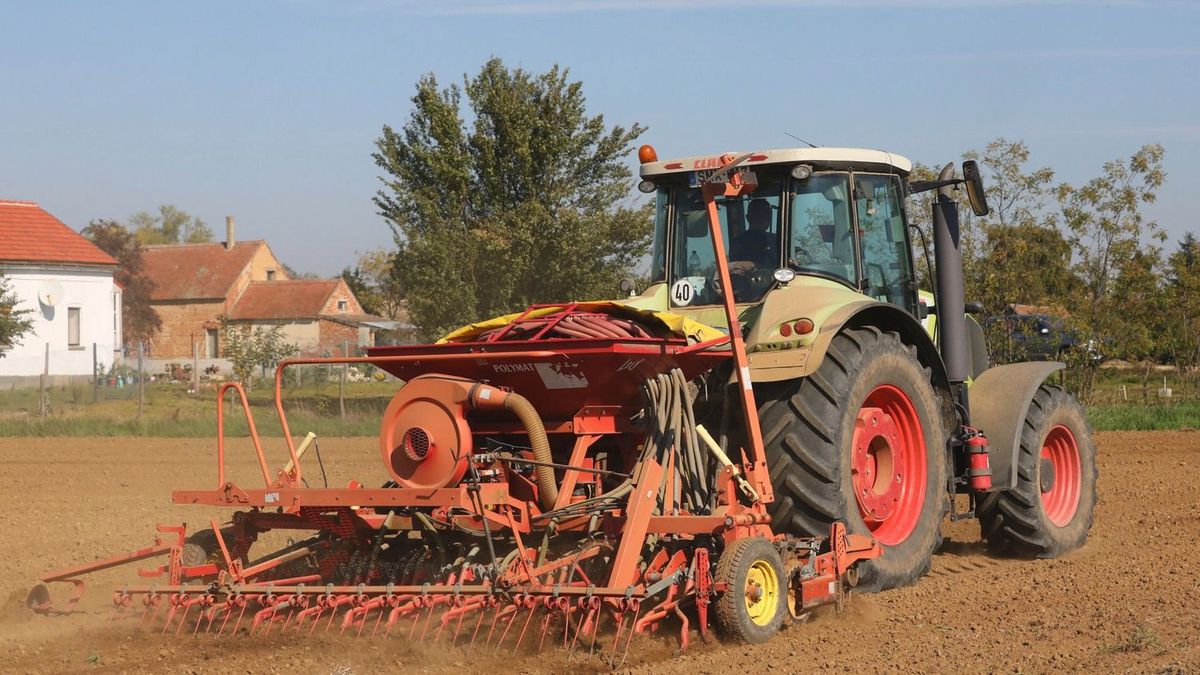 Őszi vetés: több búzavetőmag került a földbe az idén 