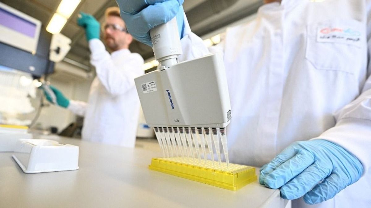 Nőtt a koronavírus örökítőanyagának koncentrációja a szennyvízben