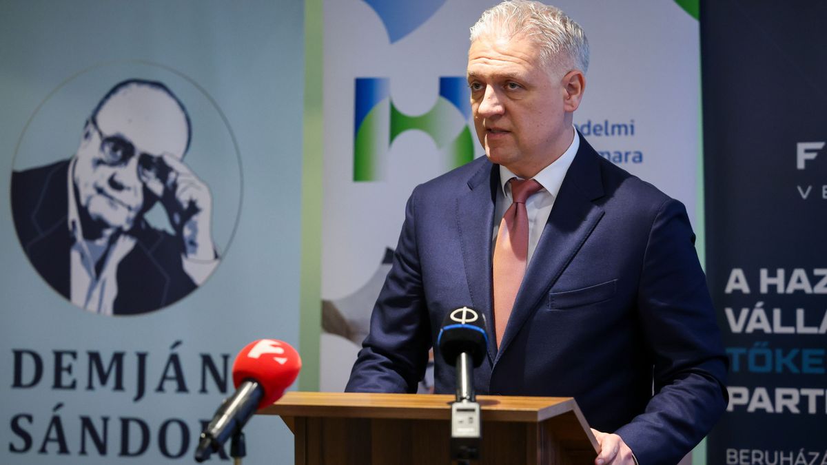 SZABADOS Richárd; Demján Sándor Program
