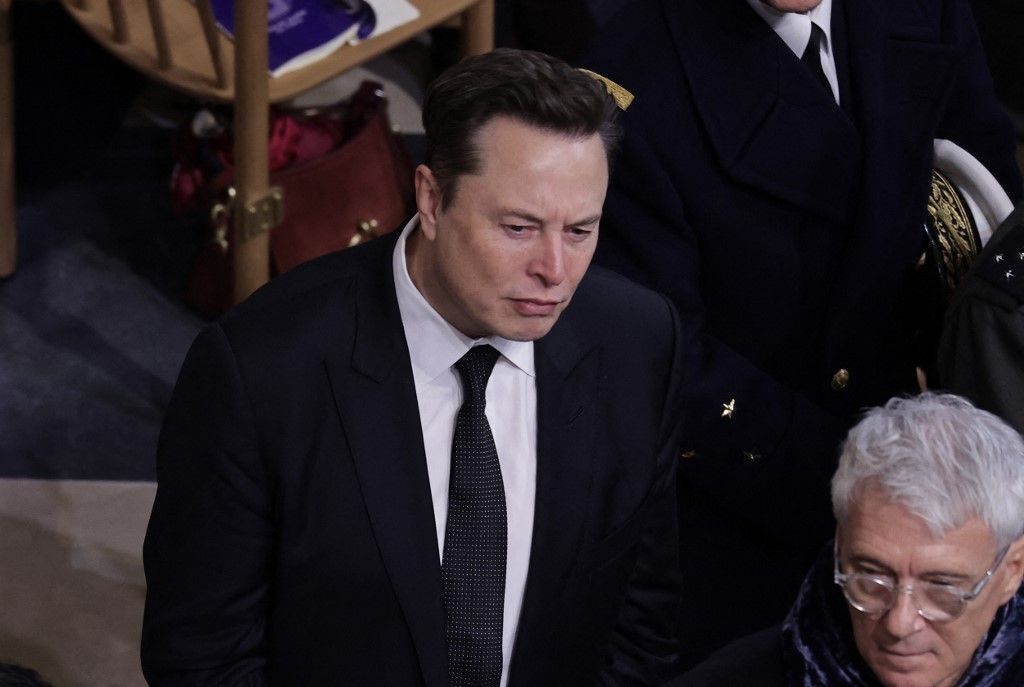 Elon Musk: az AfD nem szélsőséges párt