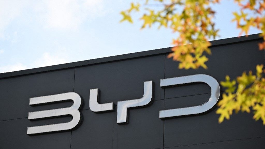BYD 16

