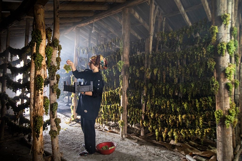 Shade drying and molasses season of the grapes in Turkiye's Konya