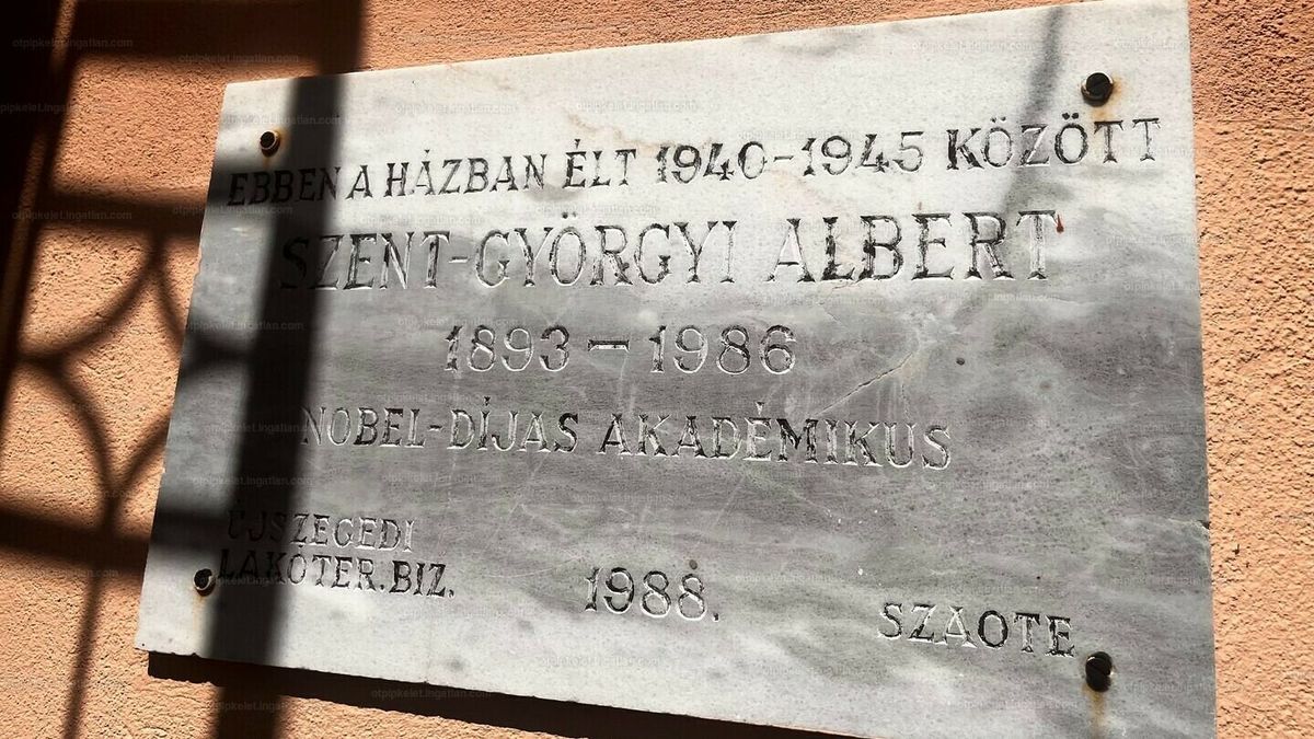 Közel kétszázmillió forintért lehet megvenni Szent-Györgyi Albert villáját