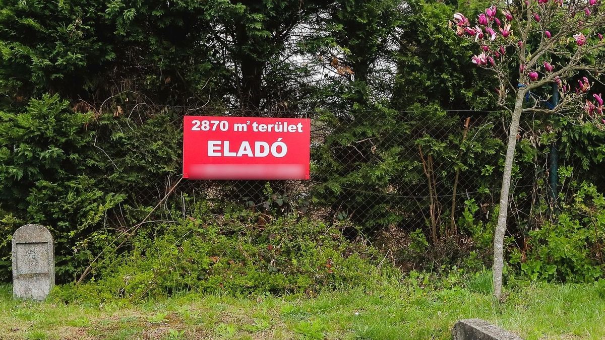 Felpörgött az ingatlanpiac, szinte sorban állnak a vevők