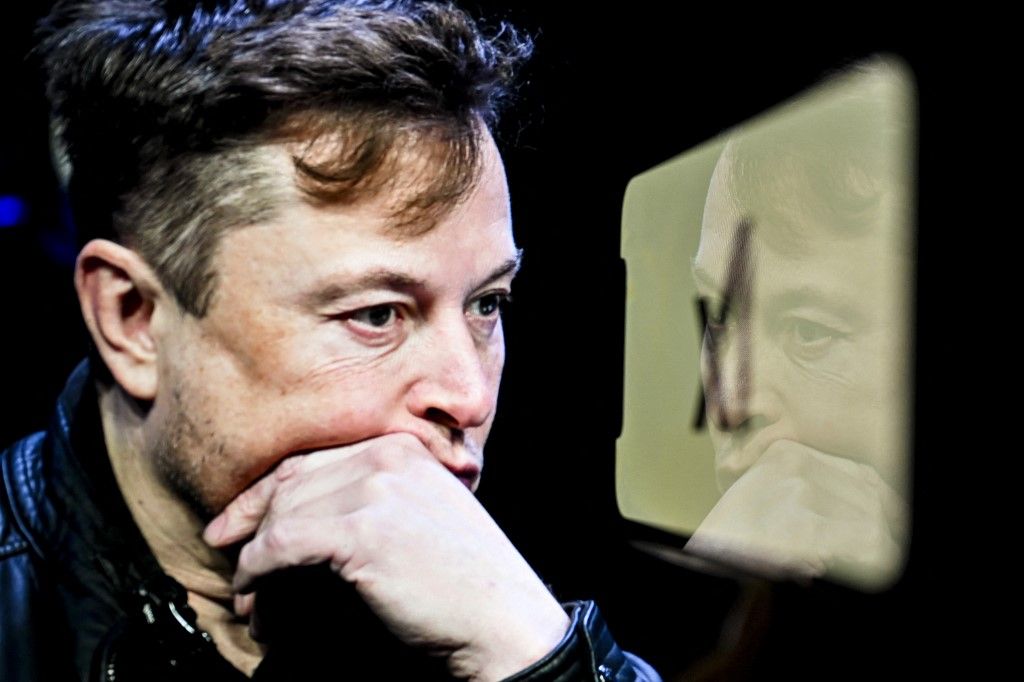 Elon Musk and xAI