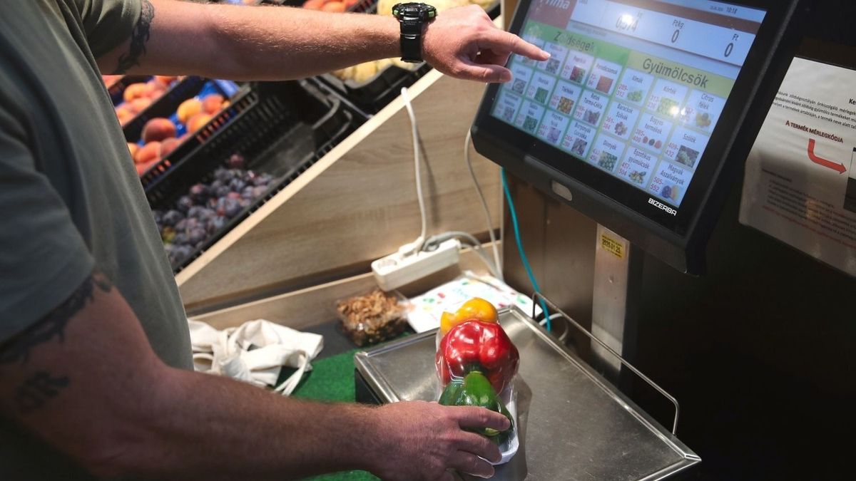 HZ1_0299 lakosság fogyasztás GDP
auchan