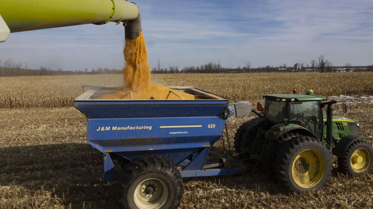 Grain Harvest And Storage As Crop Production Forecast Rises bunge