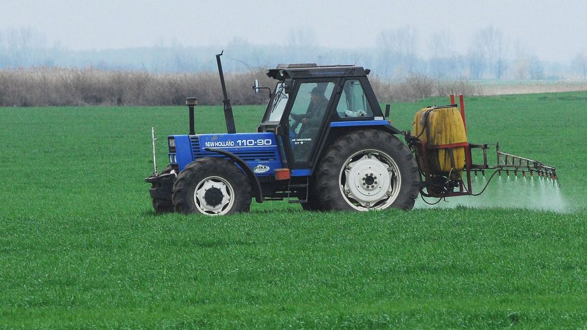 Traktor_02
A mezőgazdaságban a traktorosok bére az informatikusokéval vetélkedett tavaly nyáron.
Európai Unió, orosz-ukrán háború, Ukrajna, vámkontingens