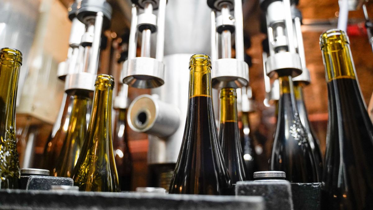FRANCE - WINE BOTTLING francia vörösbor