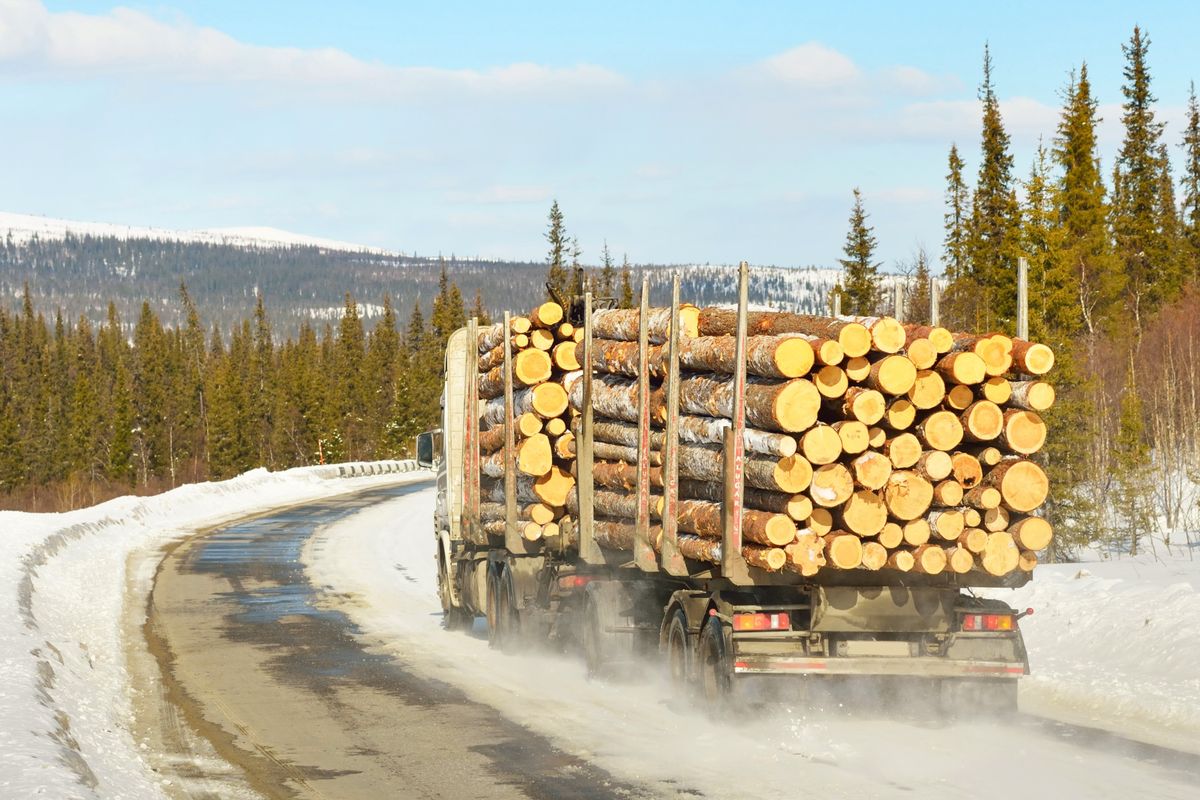 A,Truck,Is,Carrying,Tree,Logs,Through,The,Coniferous,Forest.