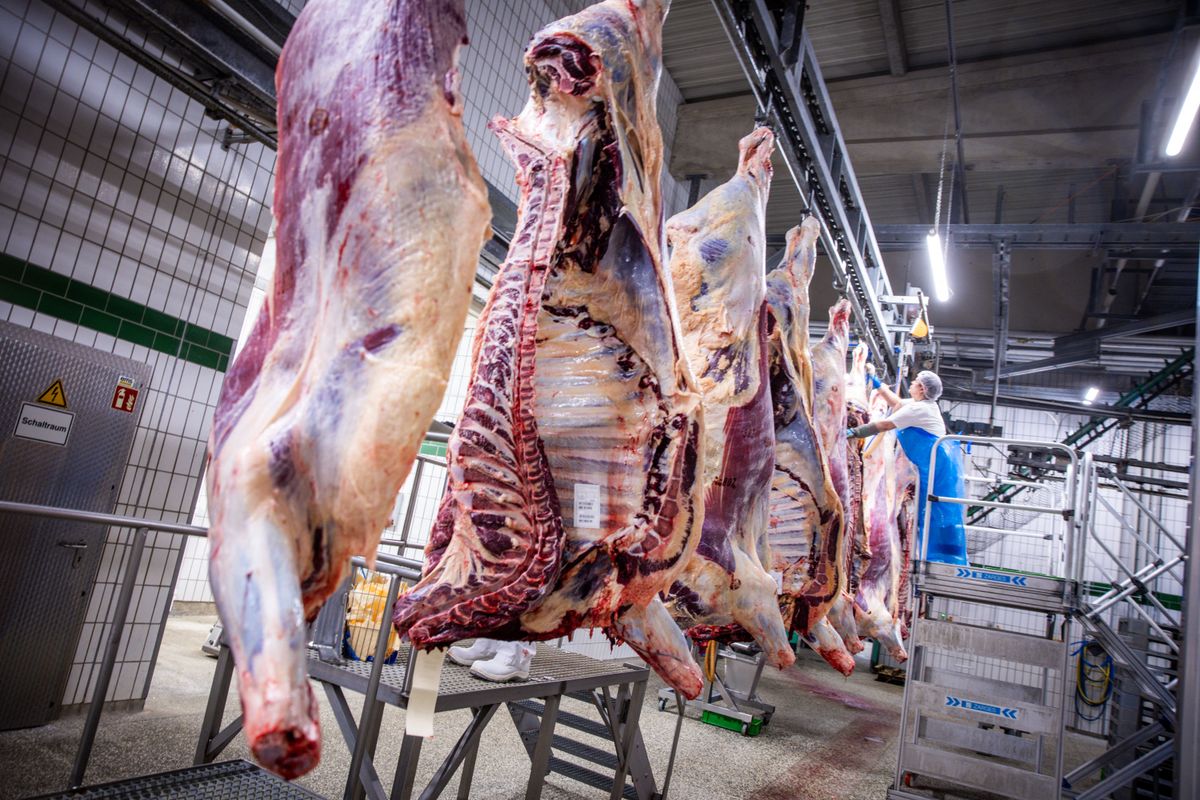 Danish Crown slaughterhouse
oroszország
