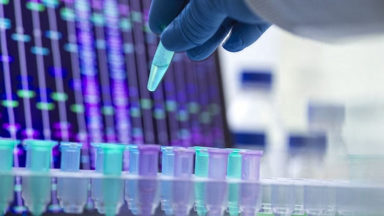 DNA research genetikai teszt