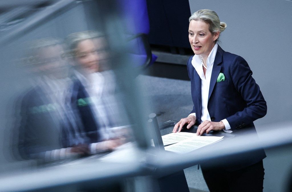 Bundestag, afd
