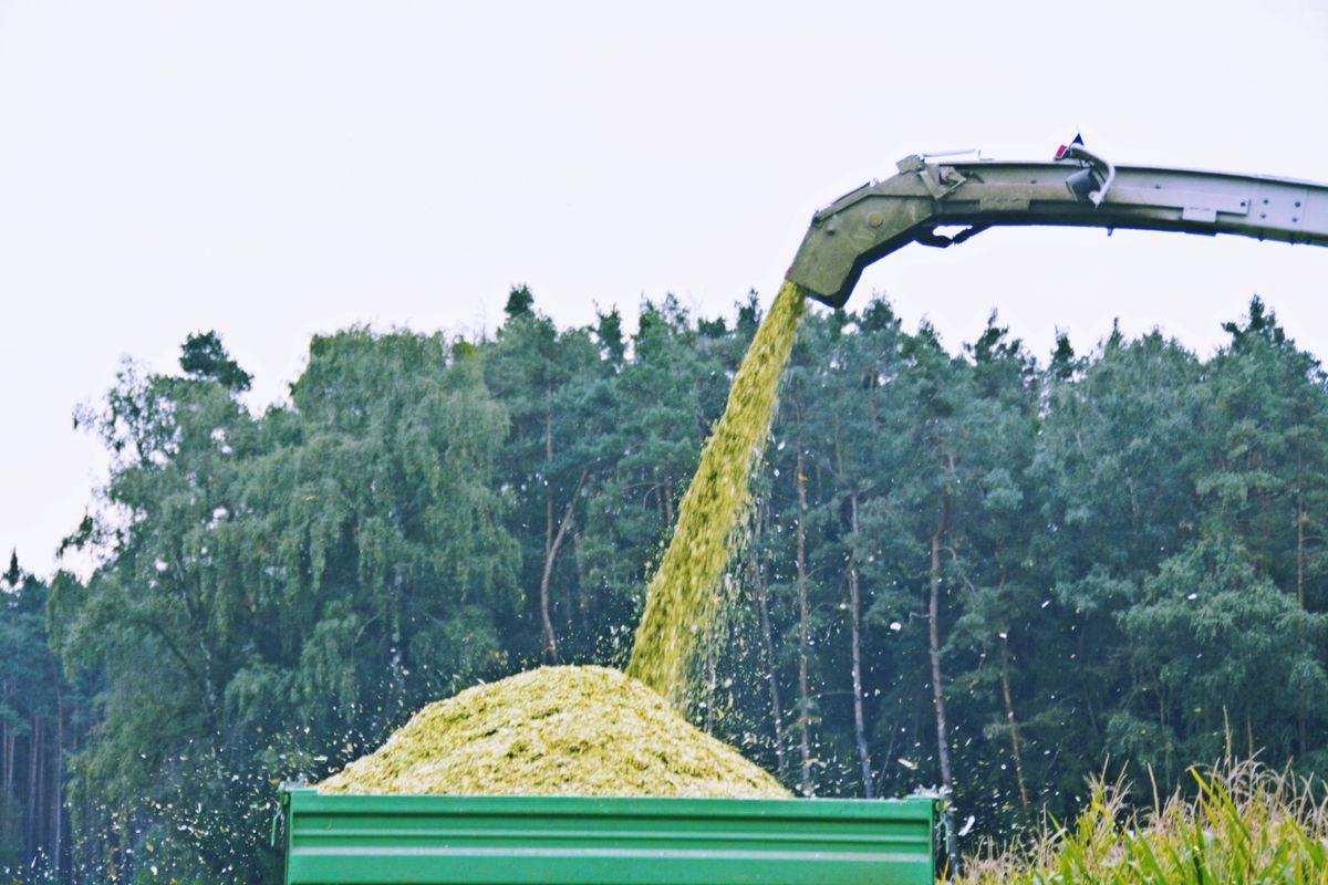 Maize,Choppers, gazdák