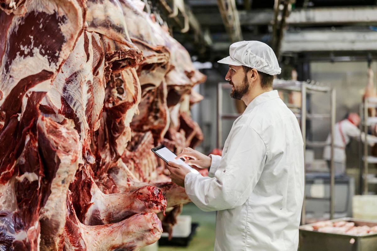 A,Meat,Factory,Supervisor,Is,Assessing,Quality,Of,Meat,While, agrárexport