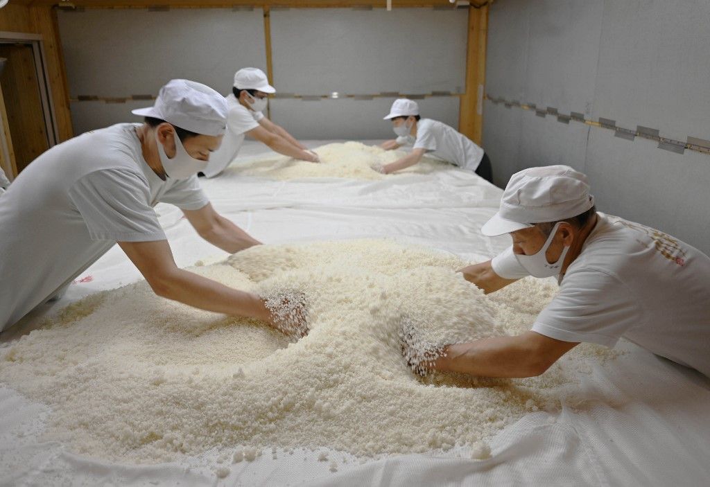 A rizs drágulását megelégelték Japánban, ahol nem csak megeszik százegy formában, hanem szakét is főznek belőle Yoshida Shuzoten in Ishikawa, Japan