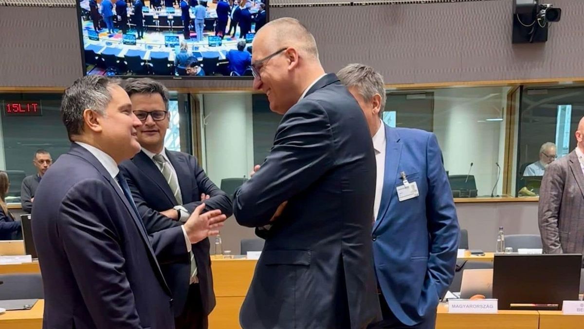 Globális minimumadó, Nagy Márton